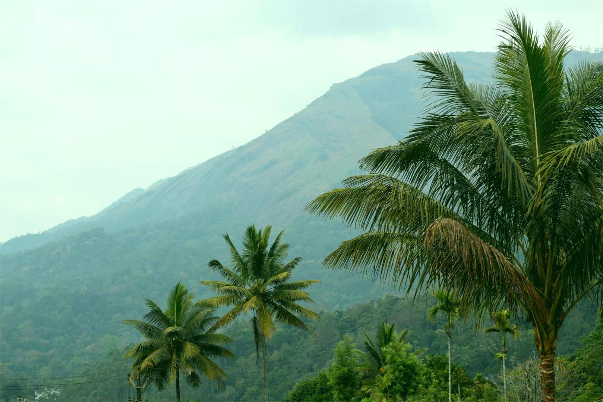 Hill Side