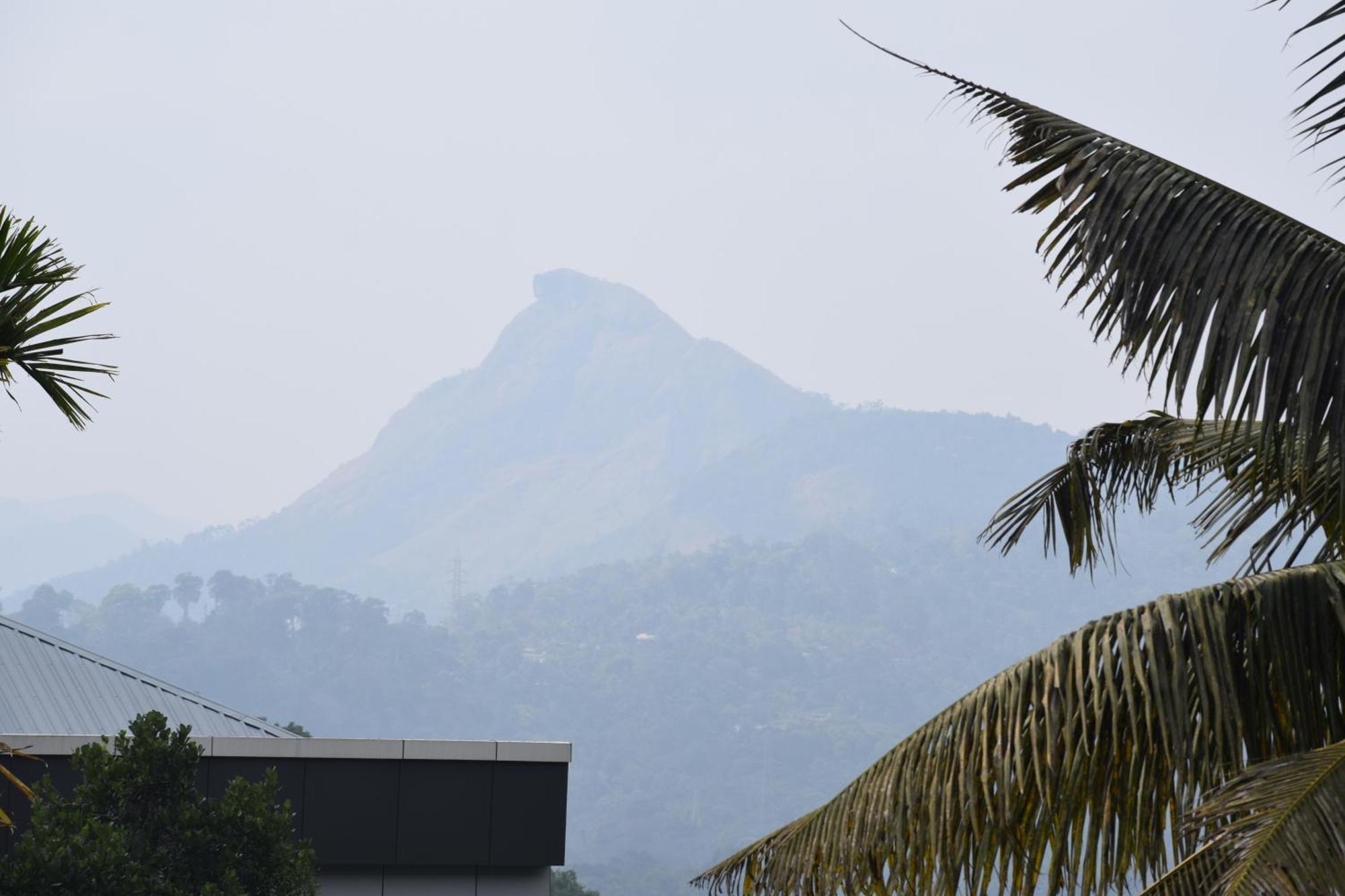 Hill Side *