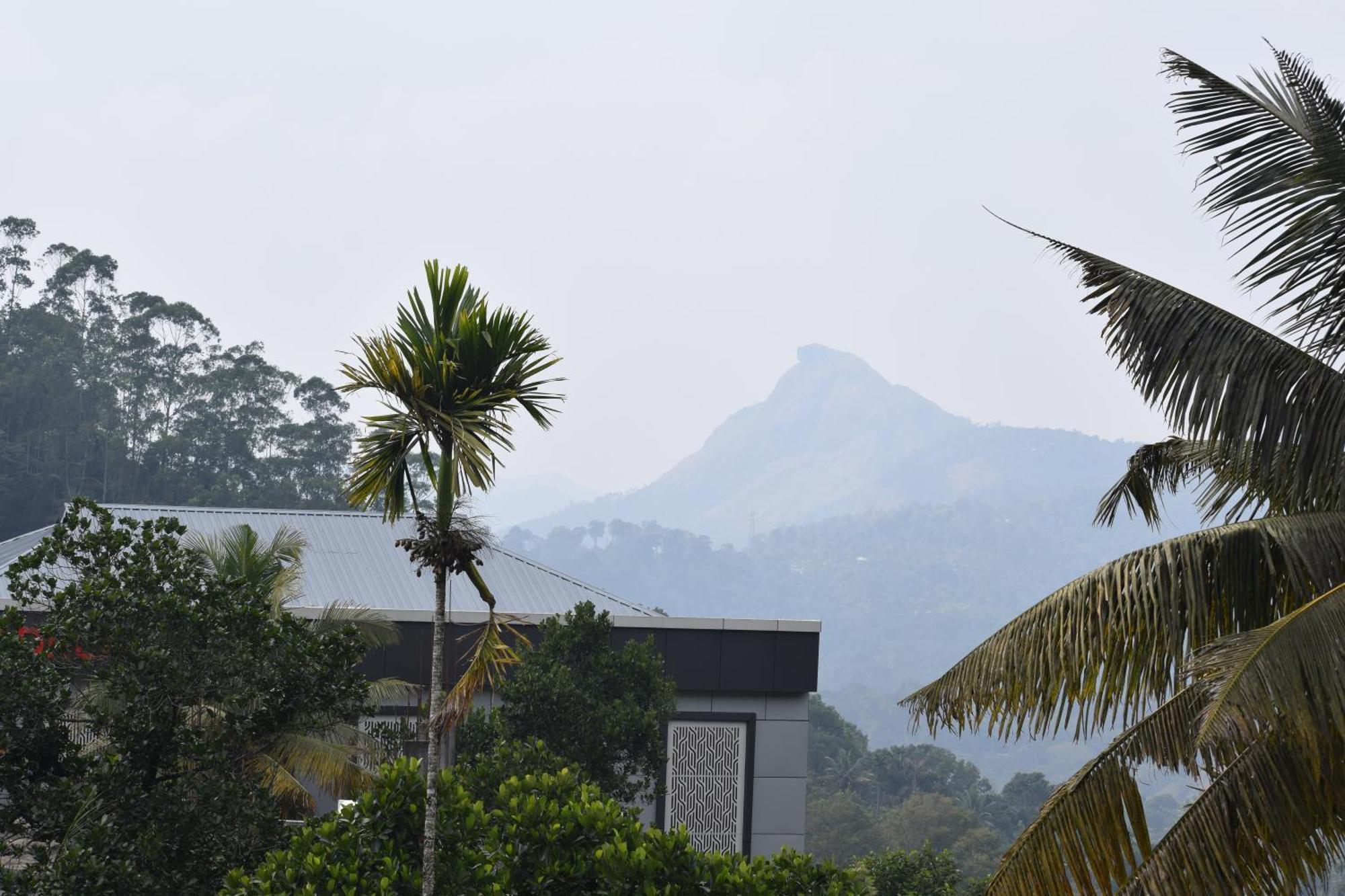 Hill Side Homestay